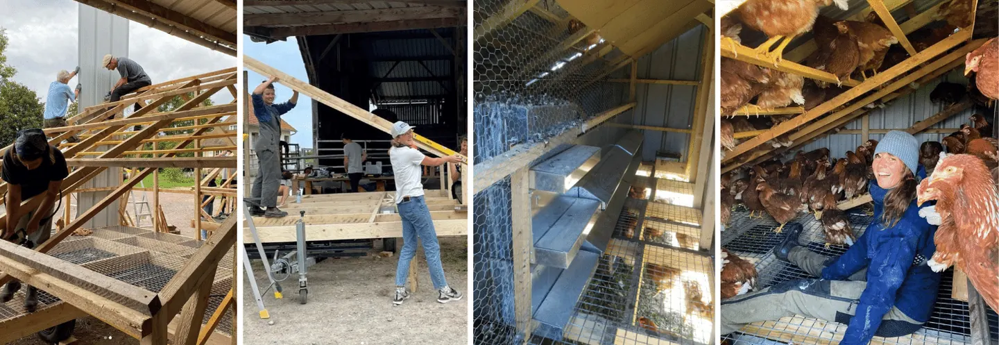 Ferme des GonneGirls : construction d’un poulailler mobile pendant une formation