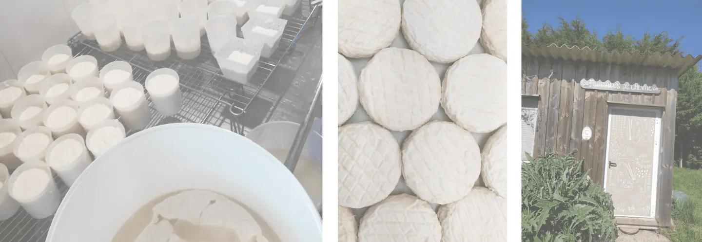 Fromages sur ferme des domoiselles