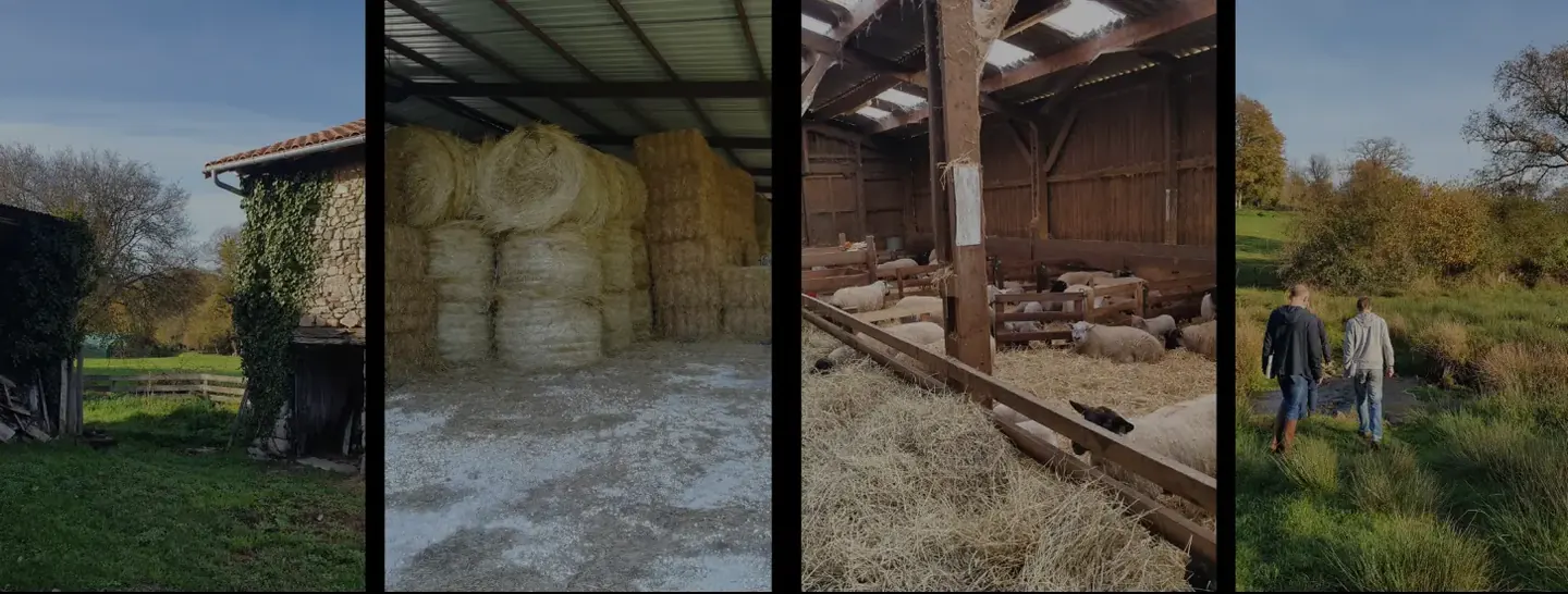 Diverses vues de fermes