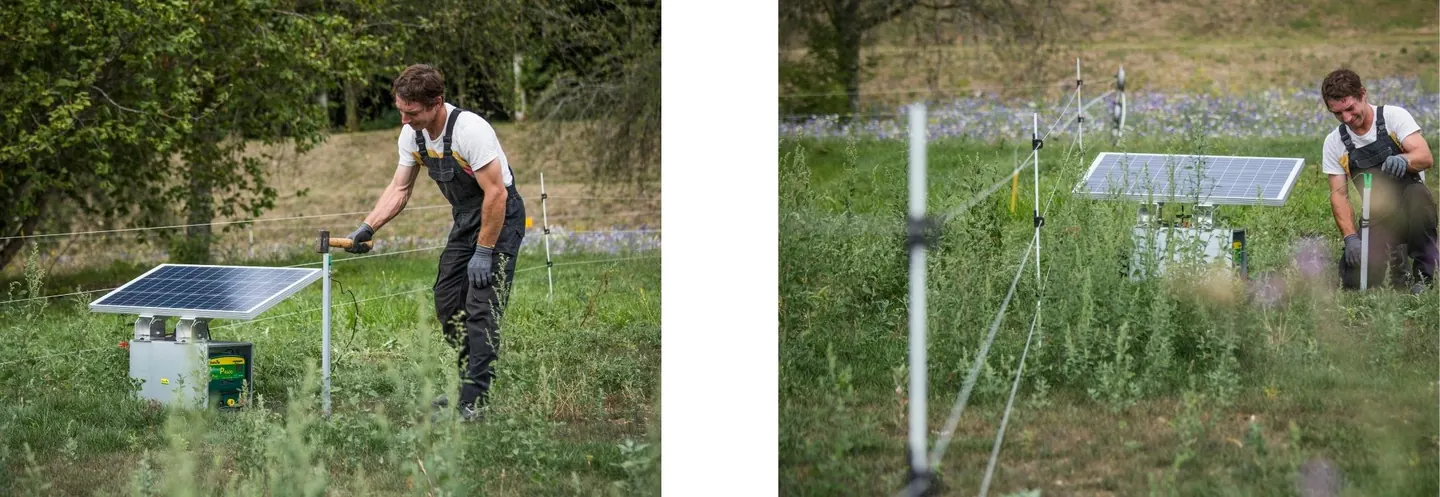 Pose clôtures pour les changements de parcelles