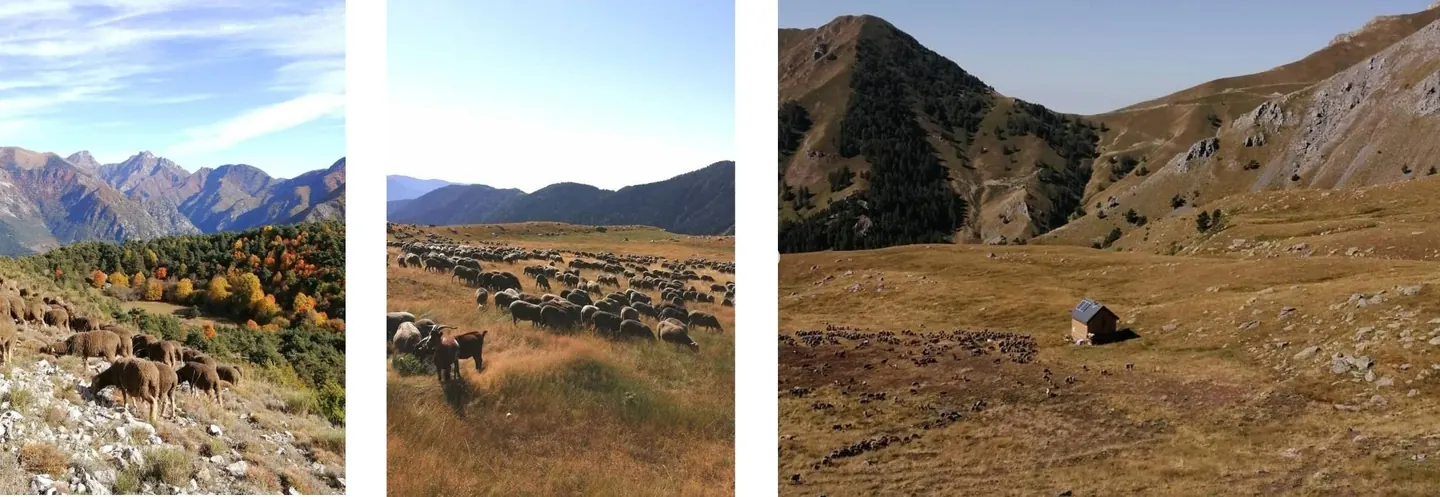 Vallée de a Roya