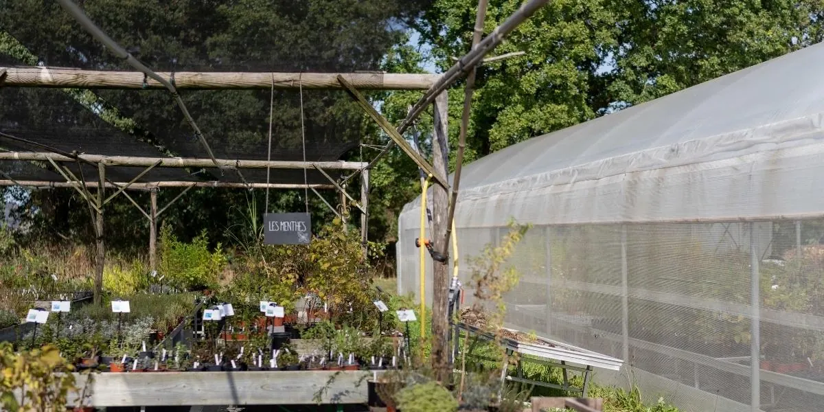 Un espace extérieur de déambulation
