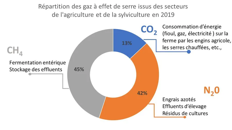 Schéma montrant la répartition des GES dans l'agriculture. Dans l'ordre d'importance : méthane, proxde d'azote et dioxyde de carbone.