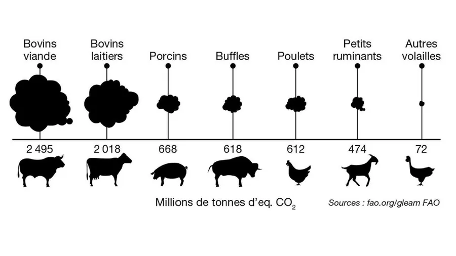 Production de méthane par type d'élevage (bovins allaitants en première place et poulet en dernièreplace)