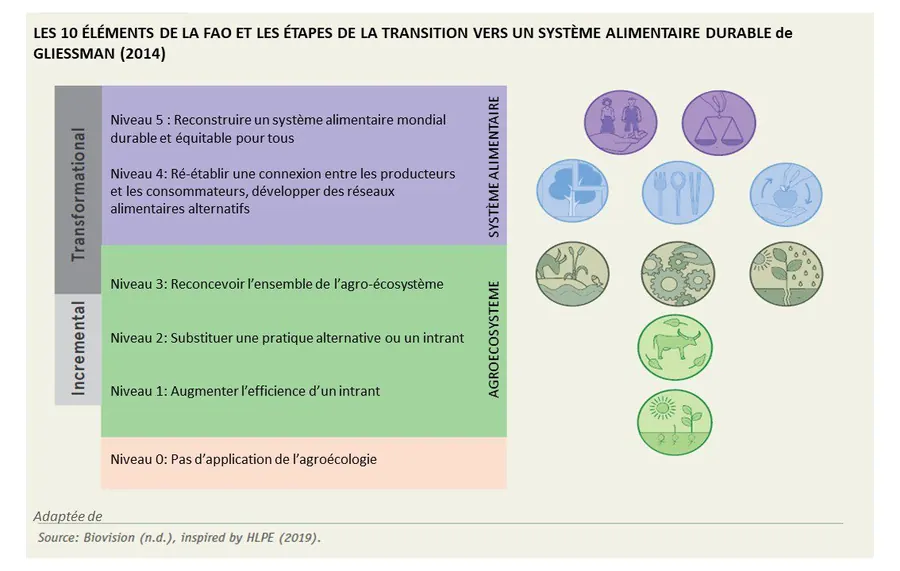10 éléments de la FAO