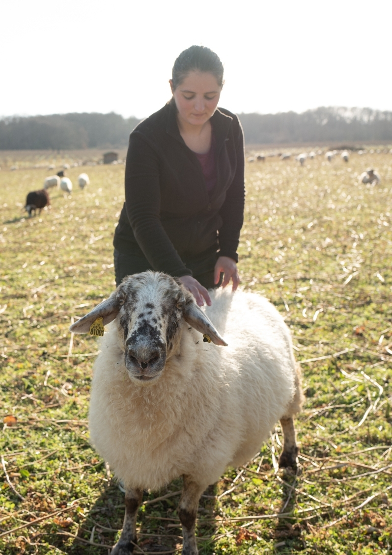 Ferme