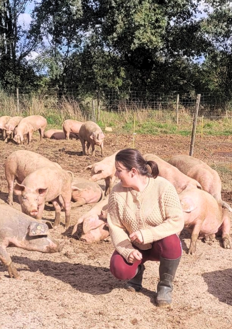 Ferme
