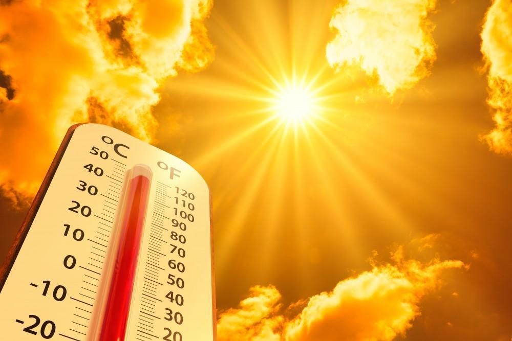 How Do You Handle the Heat During Workouts?