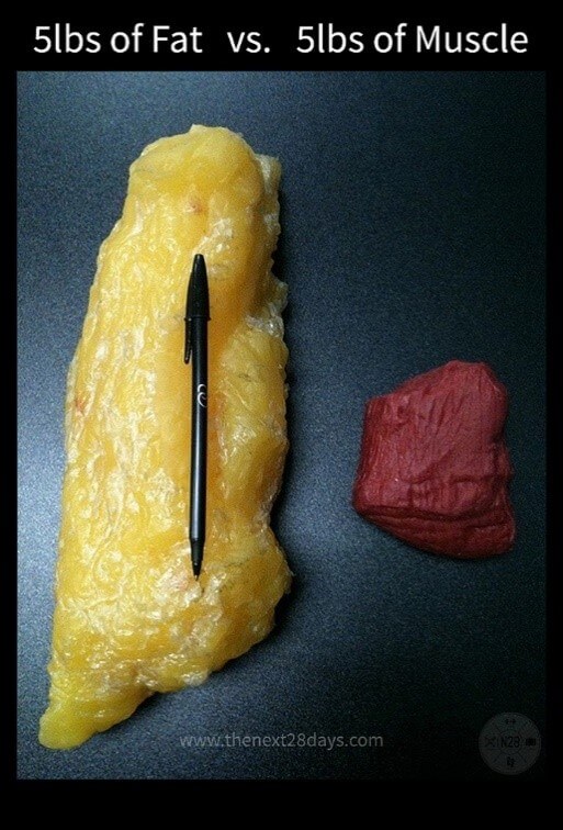Top 5 Reasons You're Not Losing Body Fat