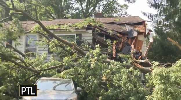 Image of a fallen tree that caused severe damage to a house..