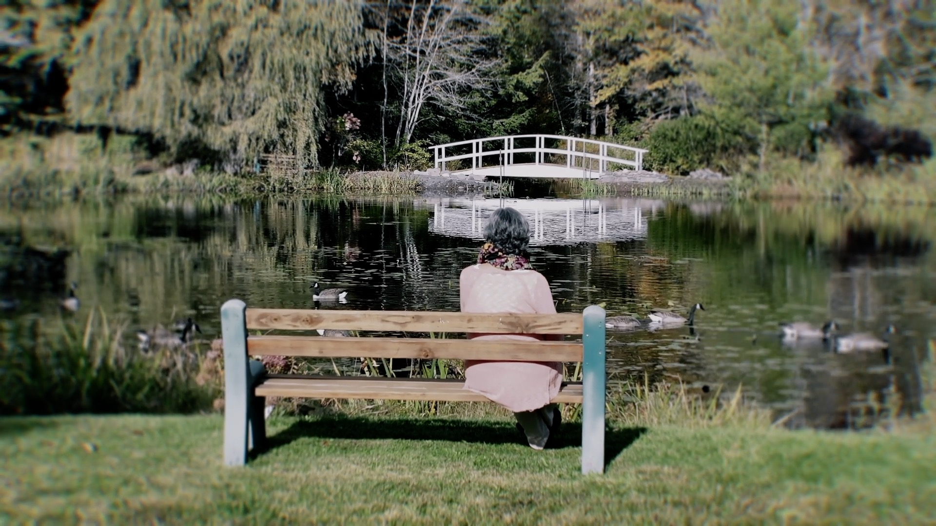 A serene view of Peace Village retreat center with a bench, bridge, and pond, set for a personal retreat
