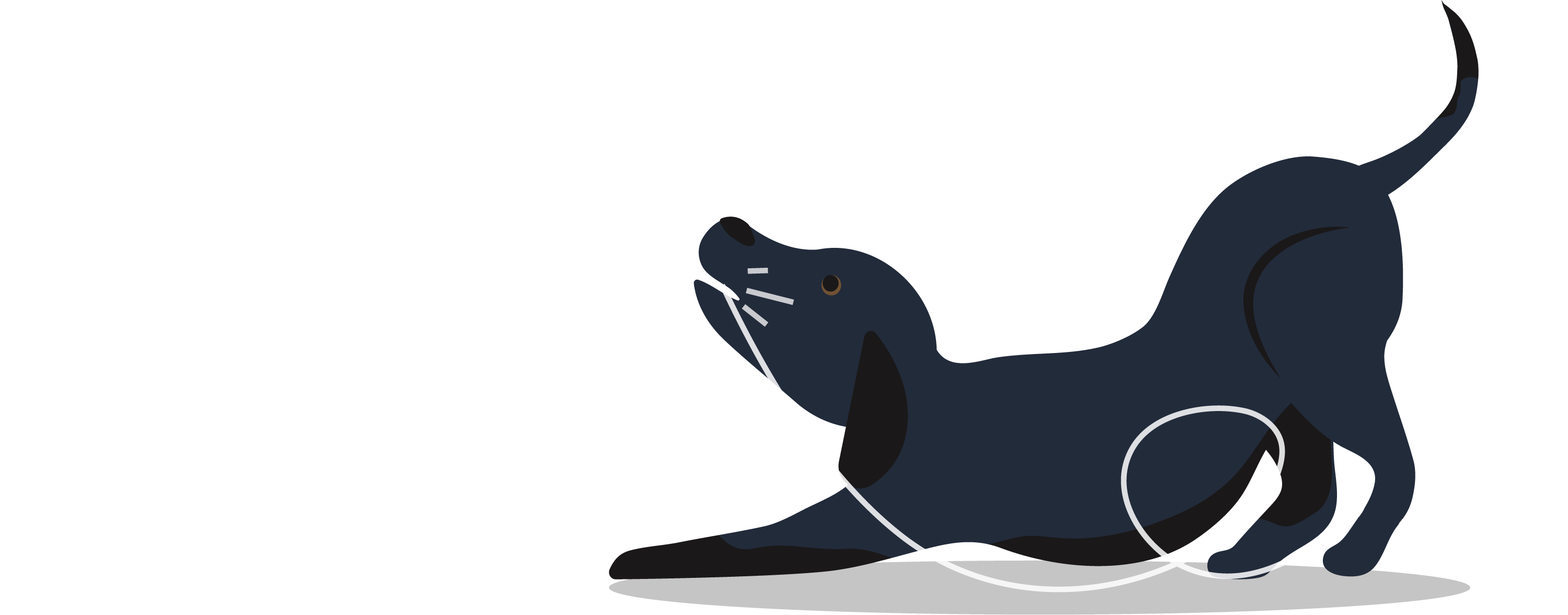 Harper the dog chewing on a cord.