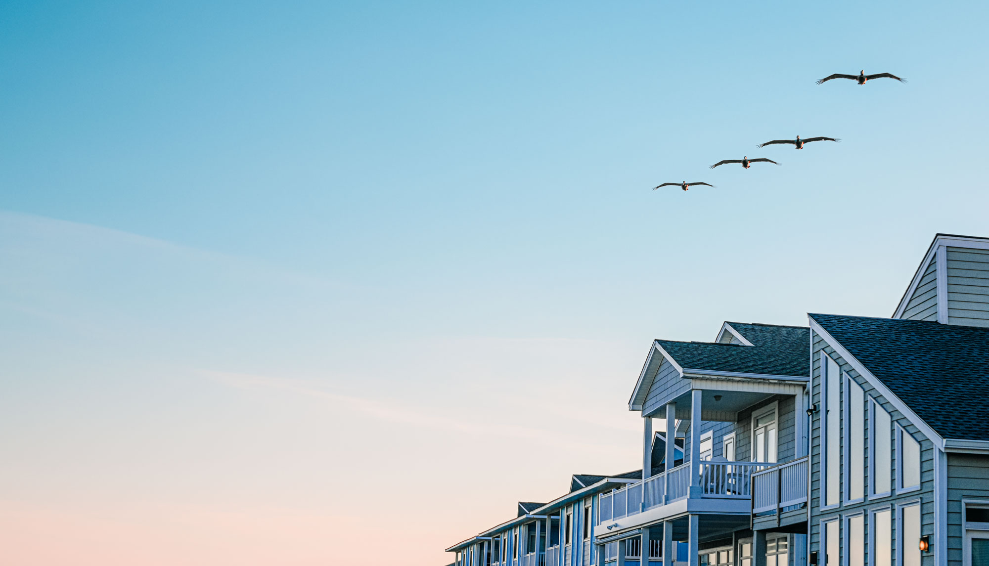Seagulls flying over beautiful oceanfront properties.