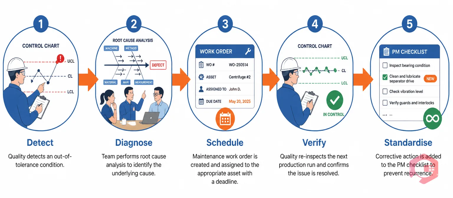 QC-QM feedback loop process flow: Detect, Diagnose, Schedule, Verify, Standardise — connecting quality control findings to maintenance action | Cryotos