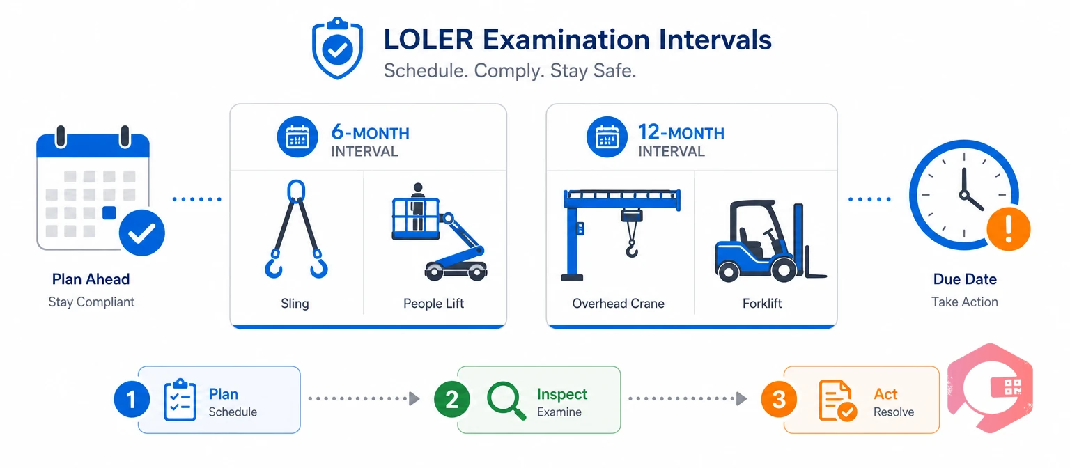 LOLER examination schedule showing 6-month and 12-month intervals by equipment type | Cryotos