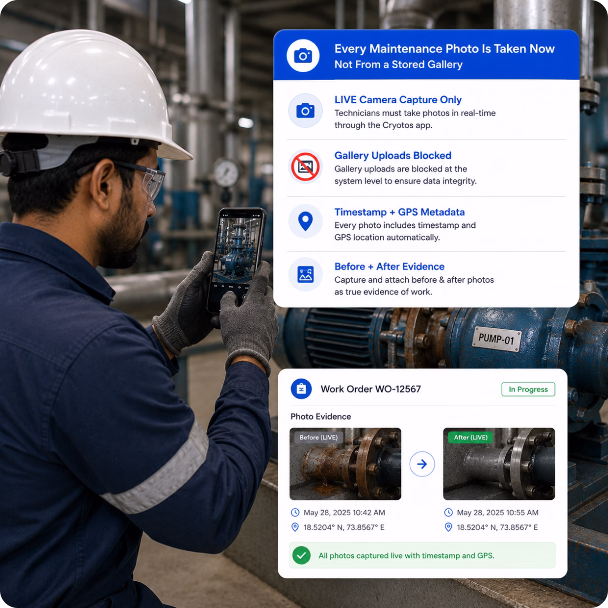 Effortless Digital Transition with Cryotos