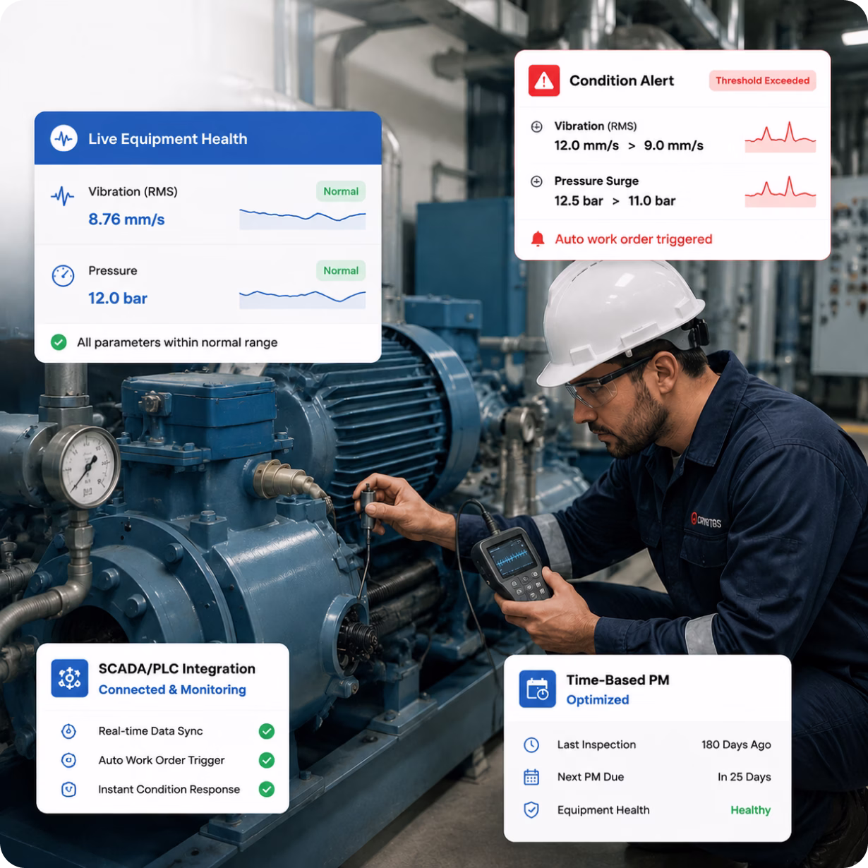 Effortless Digital Transition with Cryotos