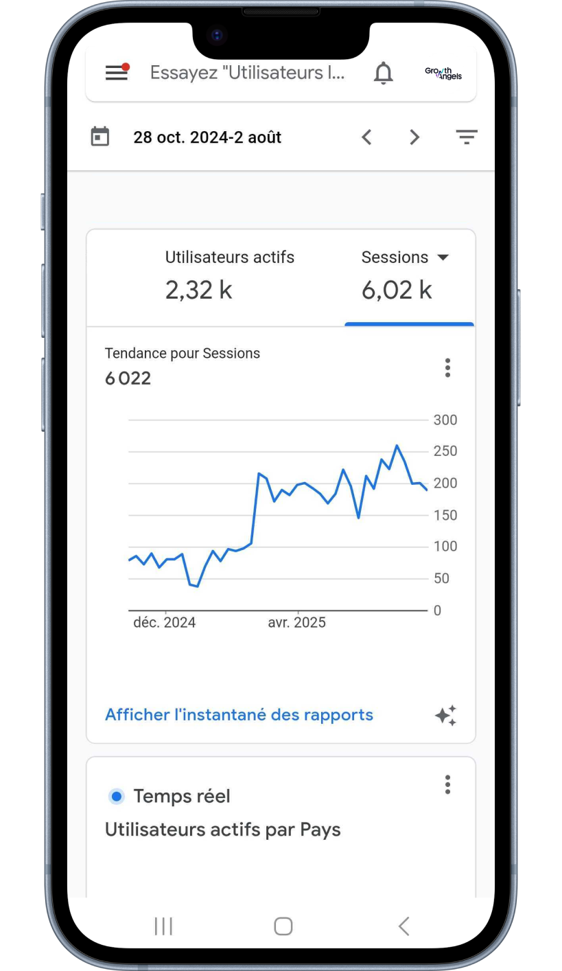 graphique evolution SEO