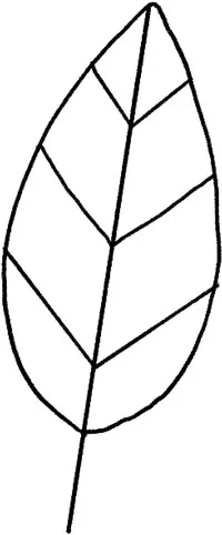 Sustainability