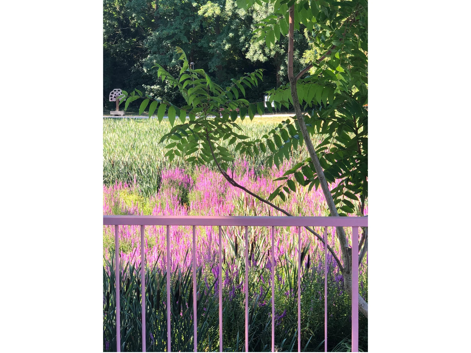 Lokus landscape Parc de la Tuilerie