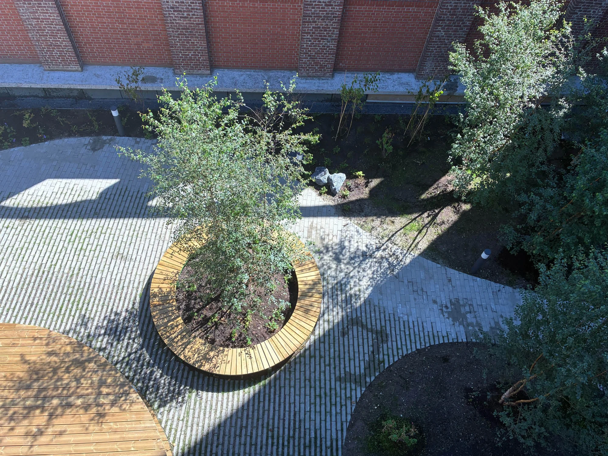 Lokus landscape IRA