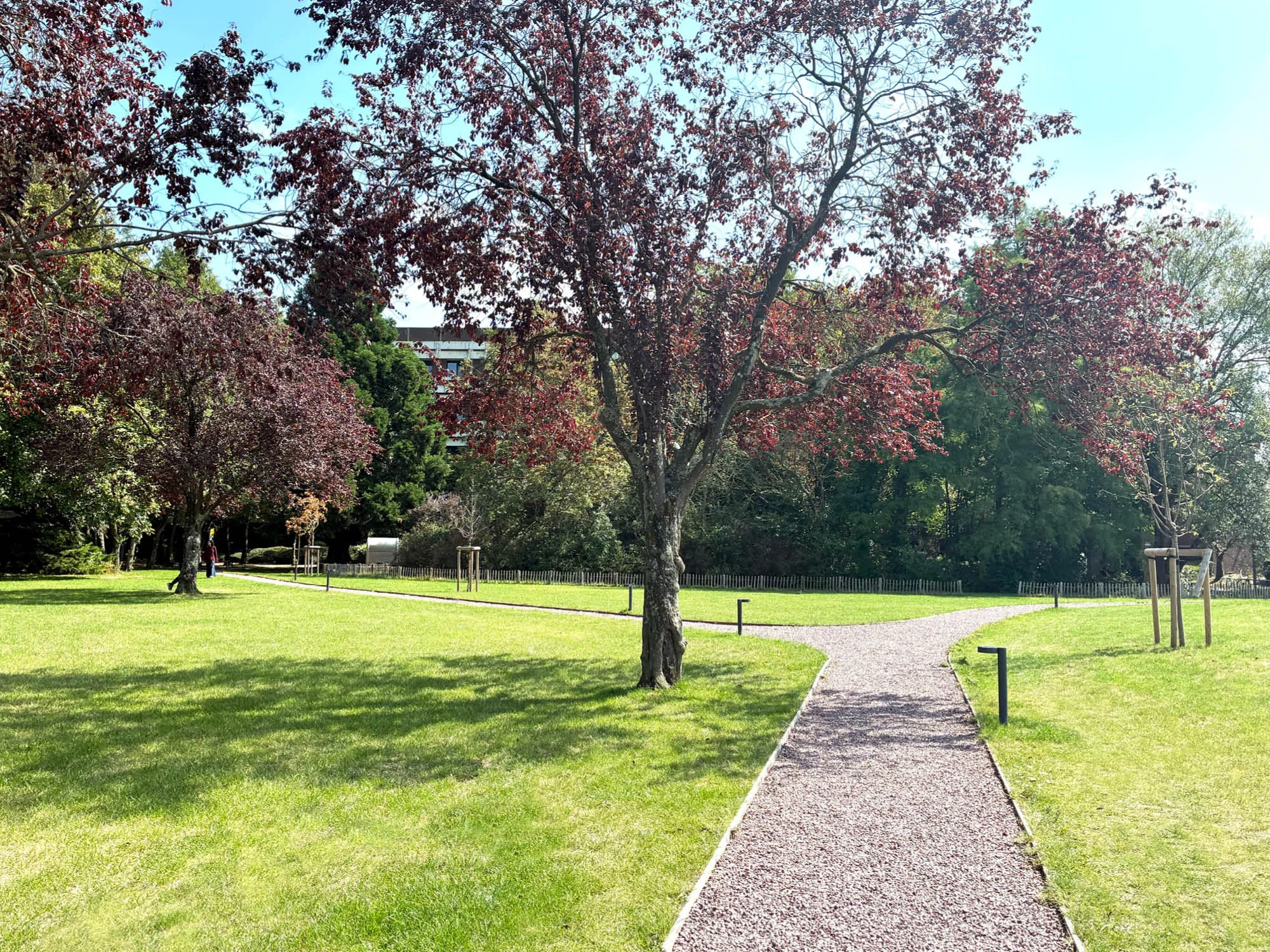 ULB grande plaine