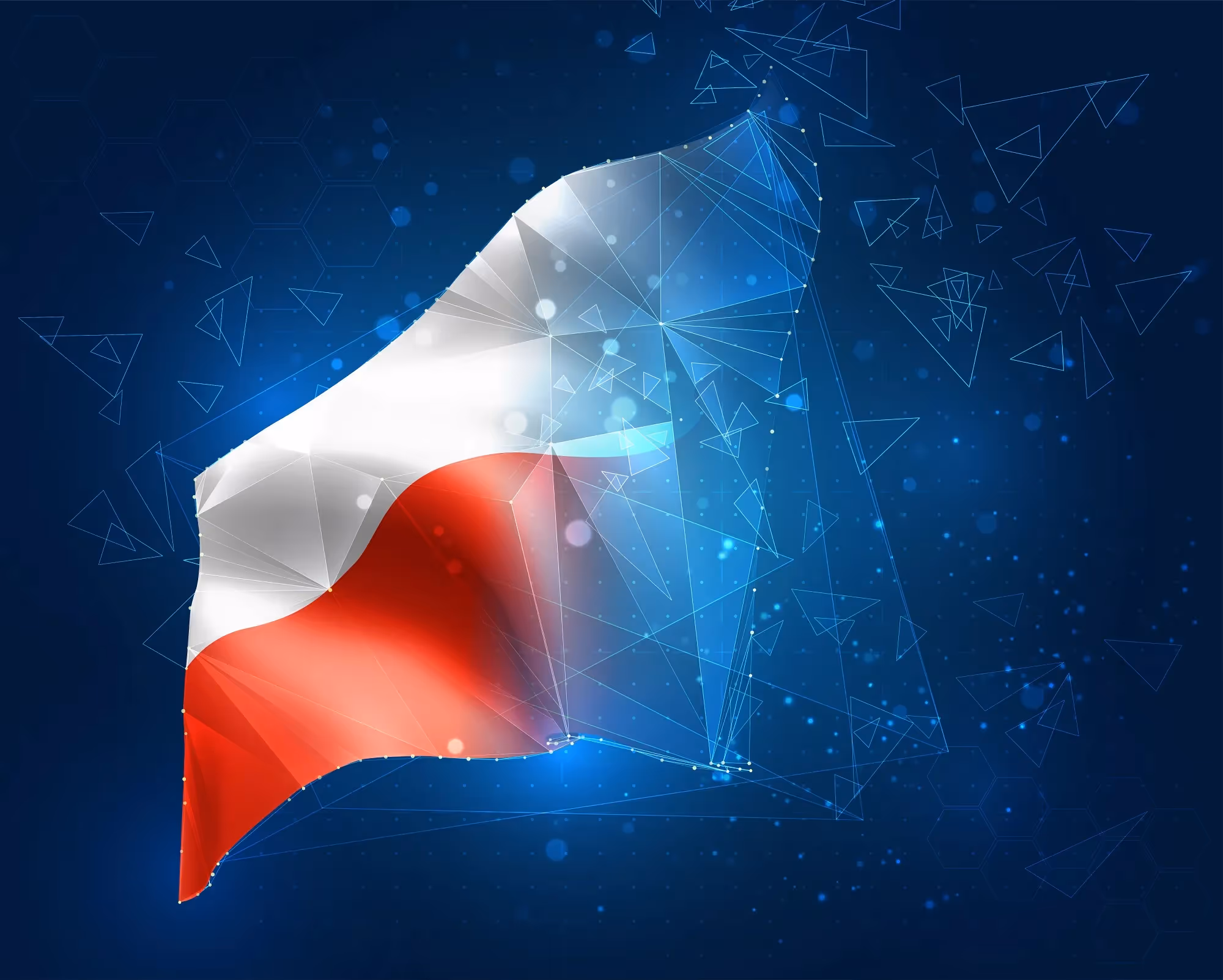 Grow your business in the Netherlands with highly educated local tech experts.