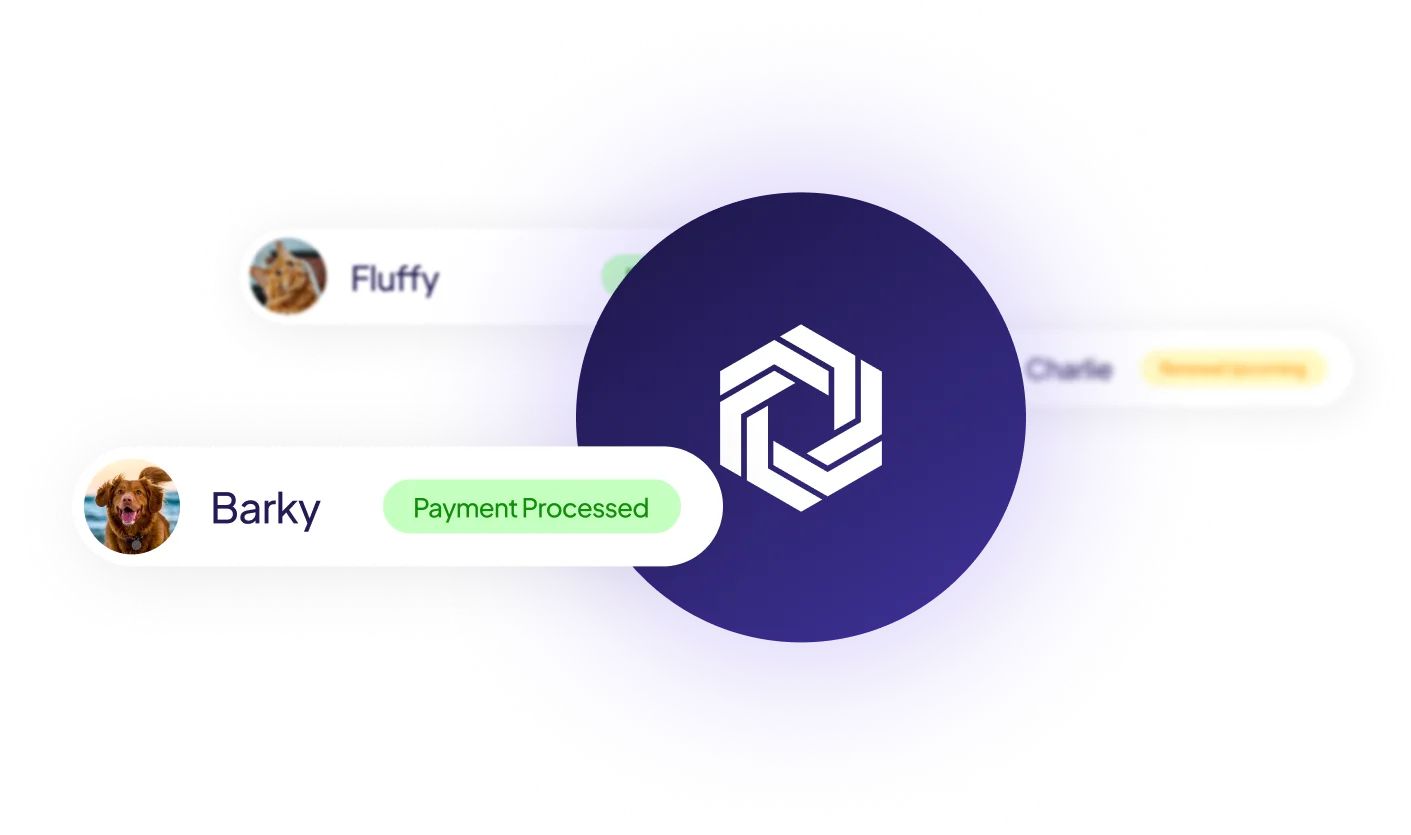 Illustration showing automated payment processing and enrolled pet management