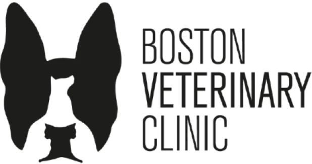 Boston Veterinary Clinic Primary Logo