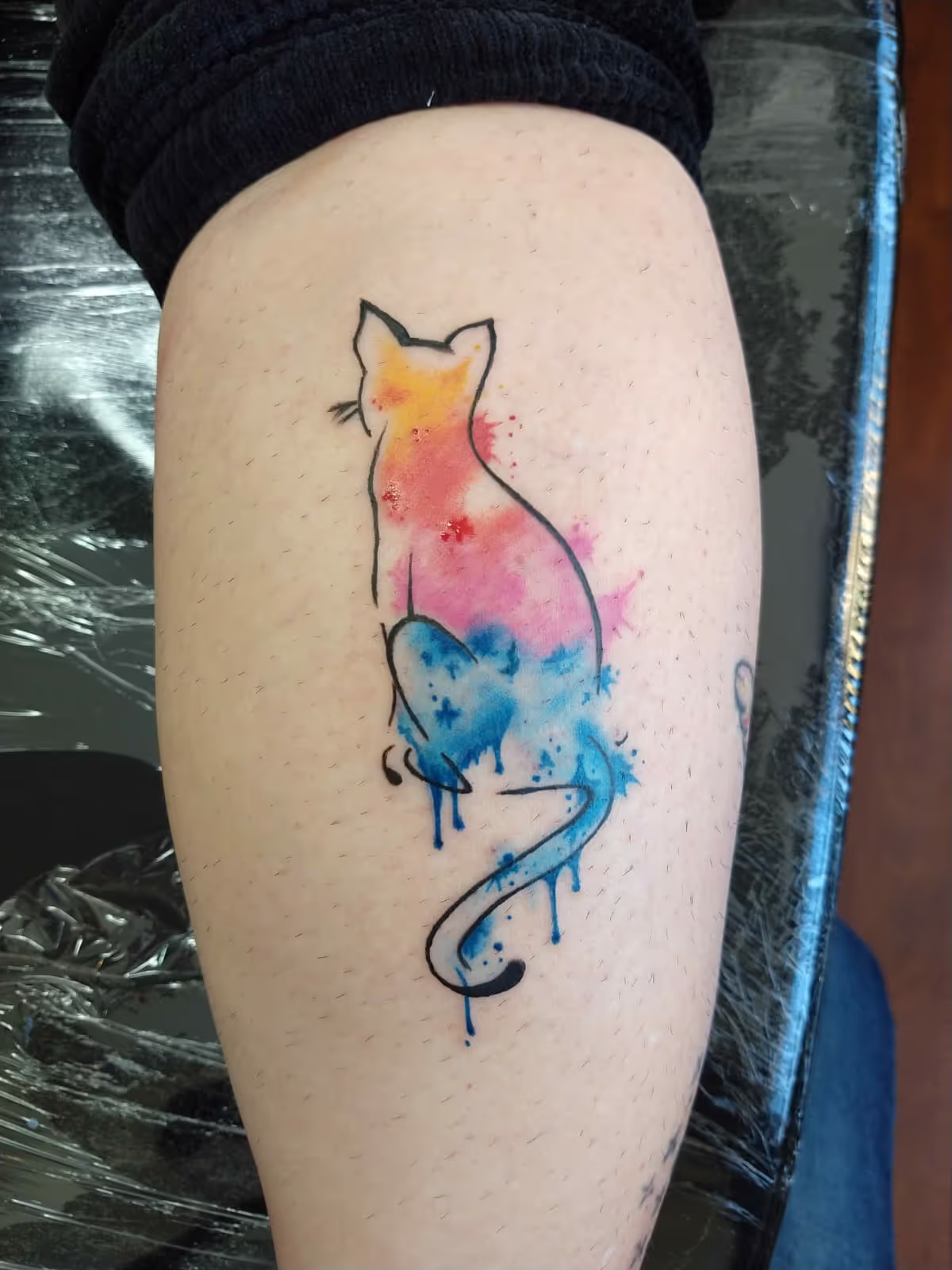 Flash Tattoo Gato Aquarela