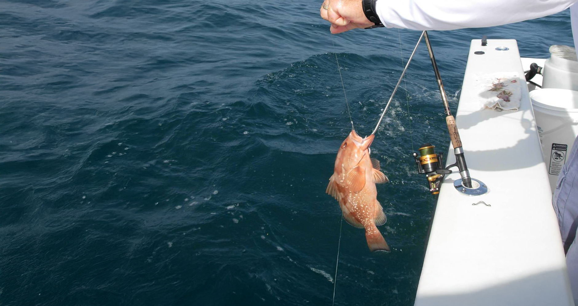 bait casting reel fishing pole VEVOR Rod and Fishing Reel Combo, IM7 Carbon Fiber Baitcasting Rod and Reel  Combo, Bass Fishing Pole, 7.0:1 Gear Ratio GLZHSDLGSBX6IZF1E001V0-260120