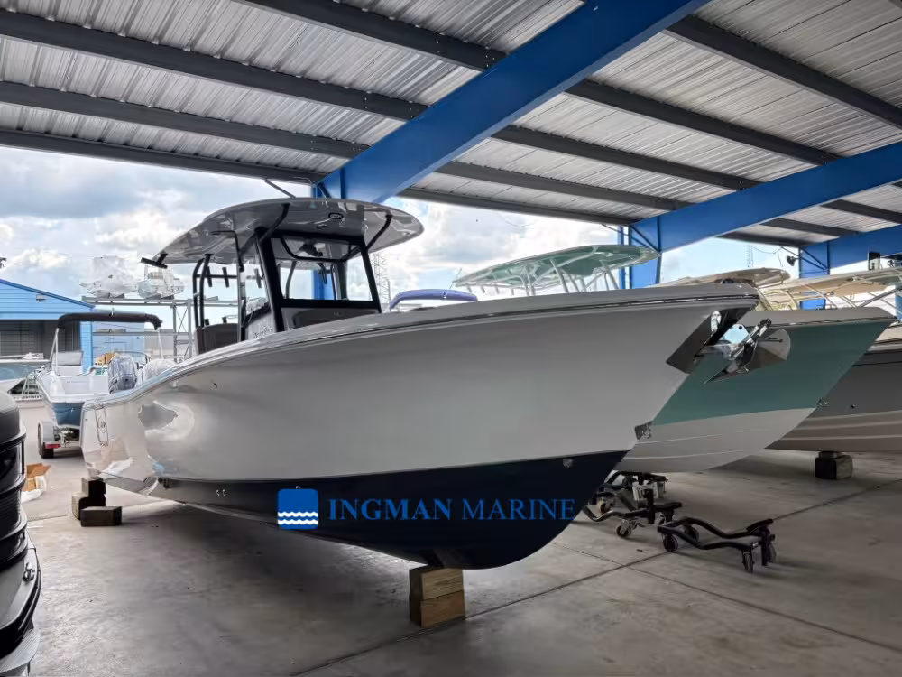 Gamefish 28