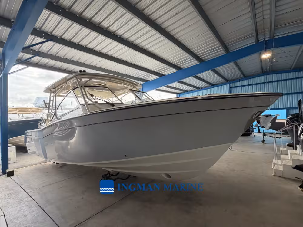 Freedom 307