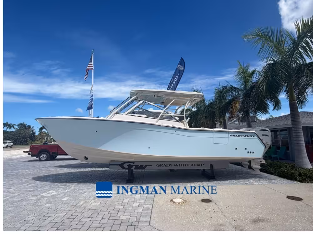 Freedom 307