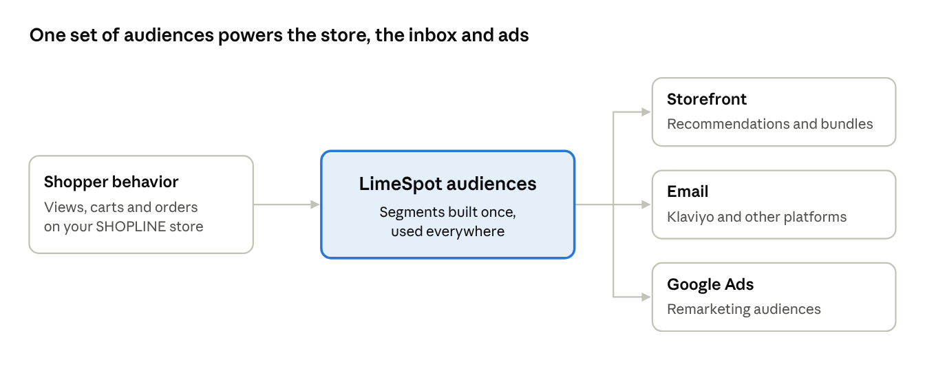 Audiences · built once, used on the store, in email and in Google Ads
