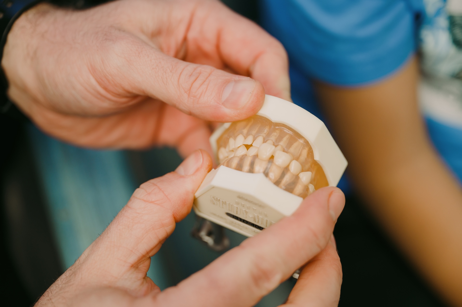Dentist holds dental model to show tooth alignment at Just For Kids Dental.