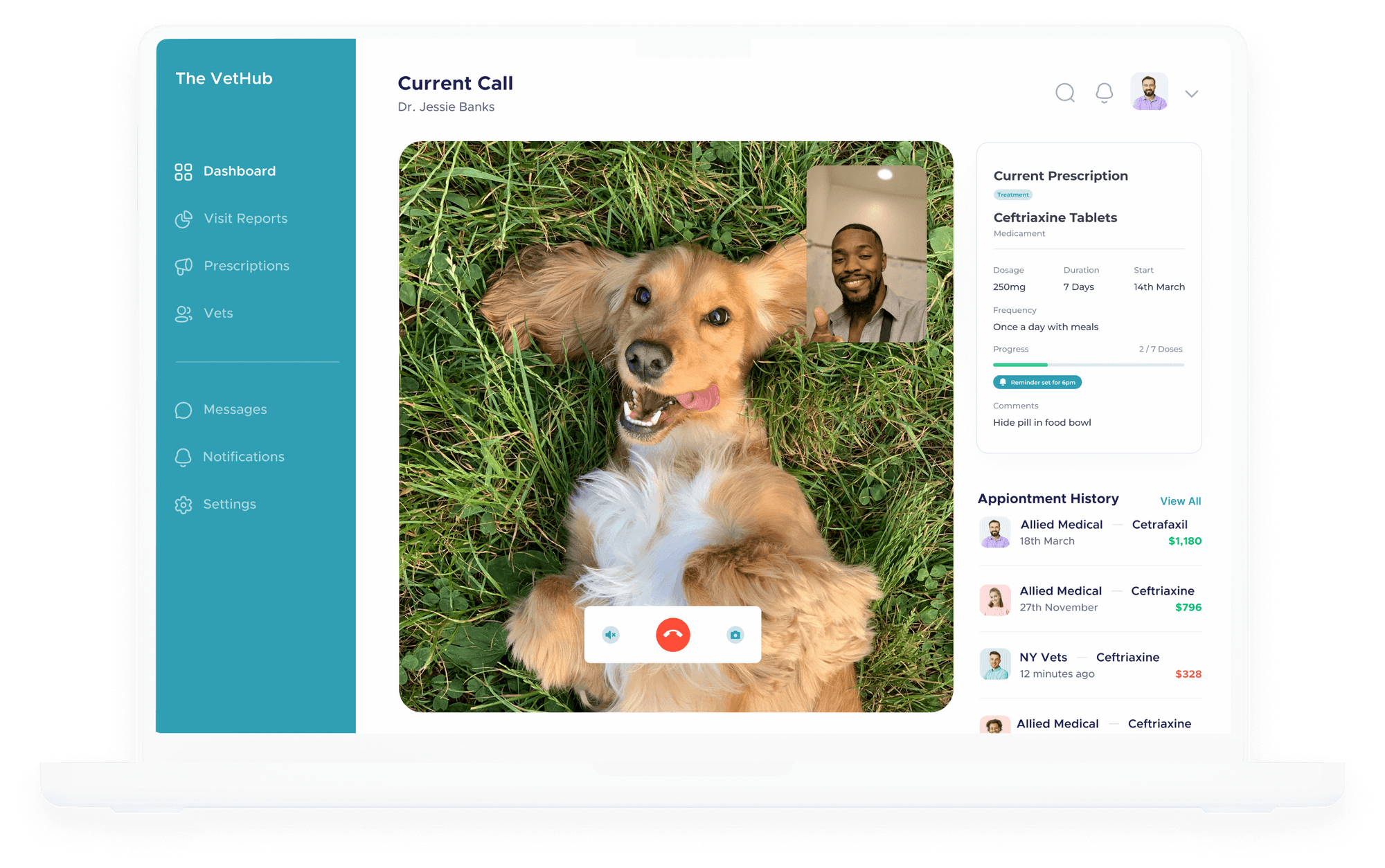 Home | VetConnect