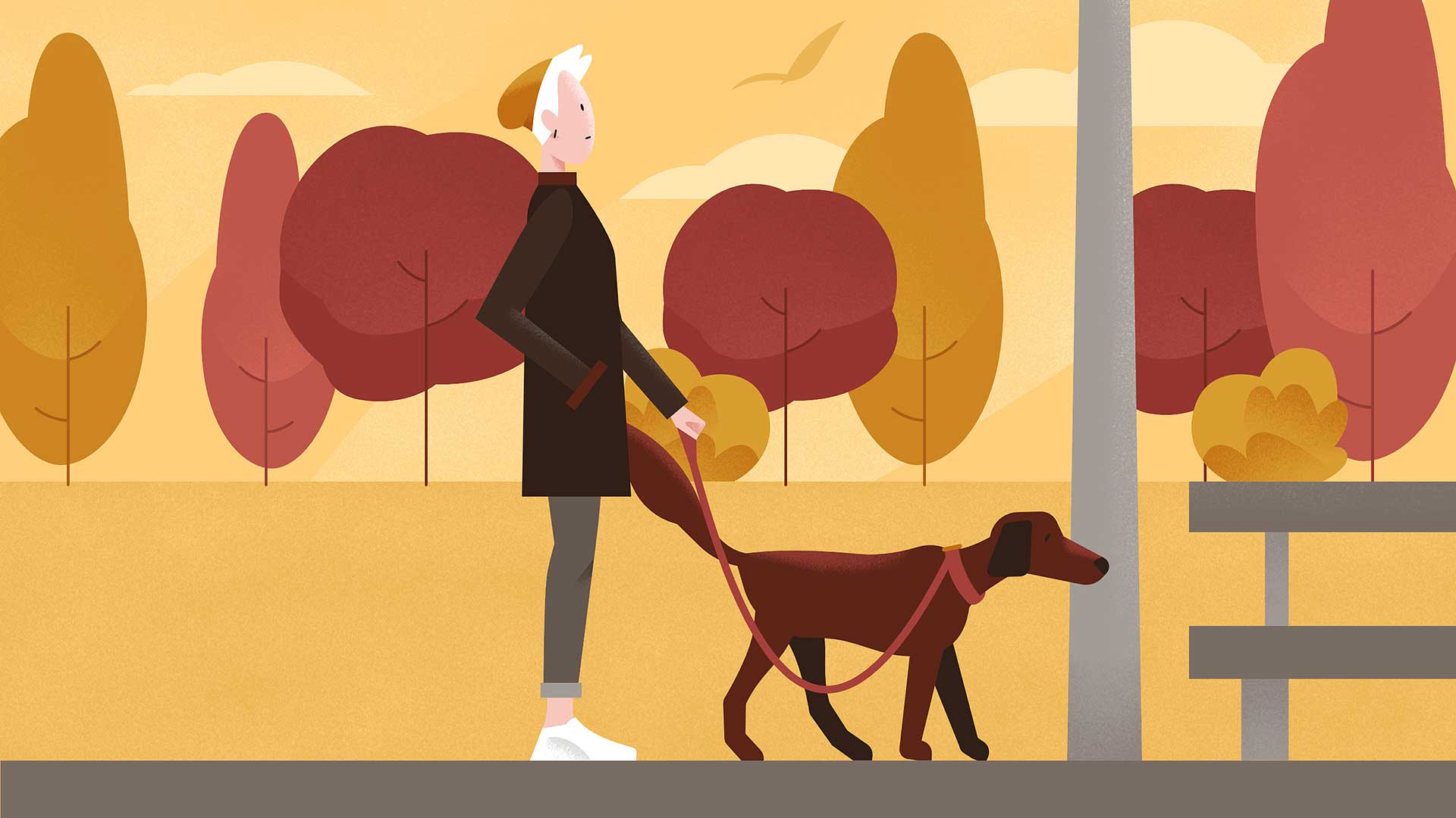 A person in a dark coat walks a brown dog past autumn trees in warm yellow light, from the Ginger care team animated video.