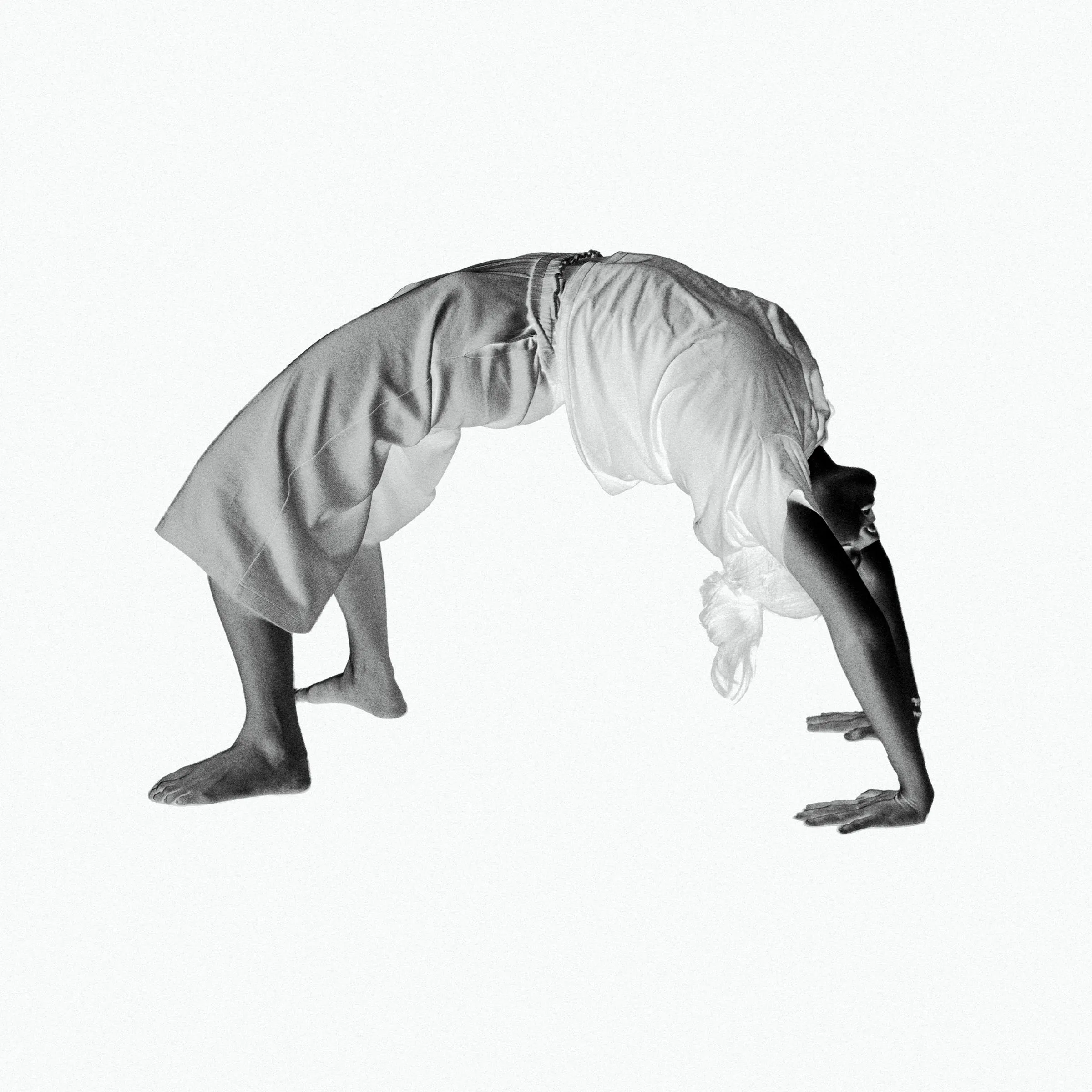 Project: Performer, Character figure inverted