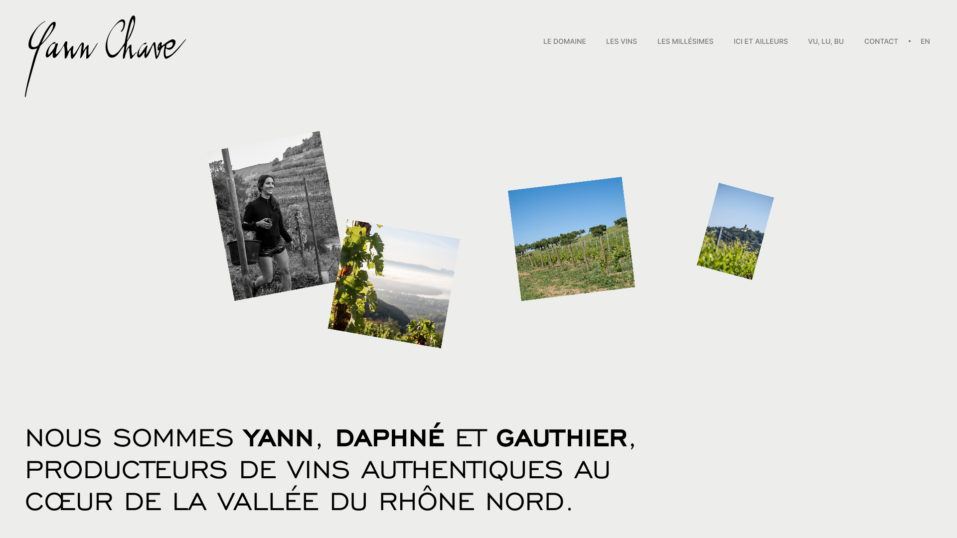 Collage of vineyard photos including a woman in vines and scenic views of Rhône Valley vineyards.