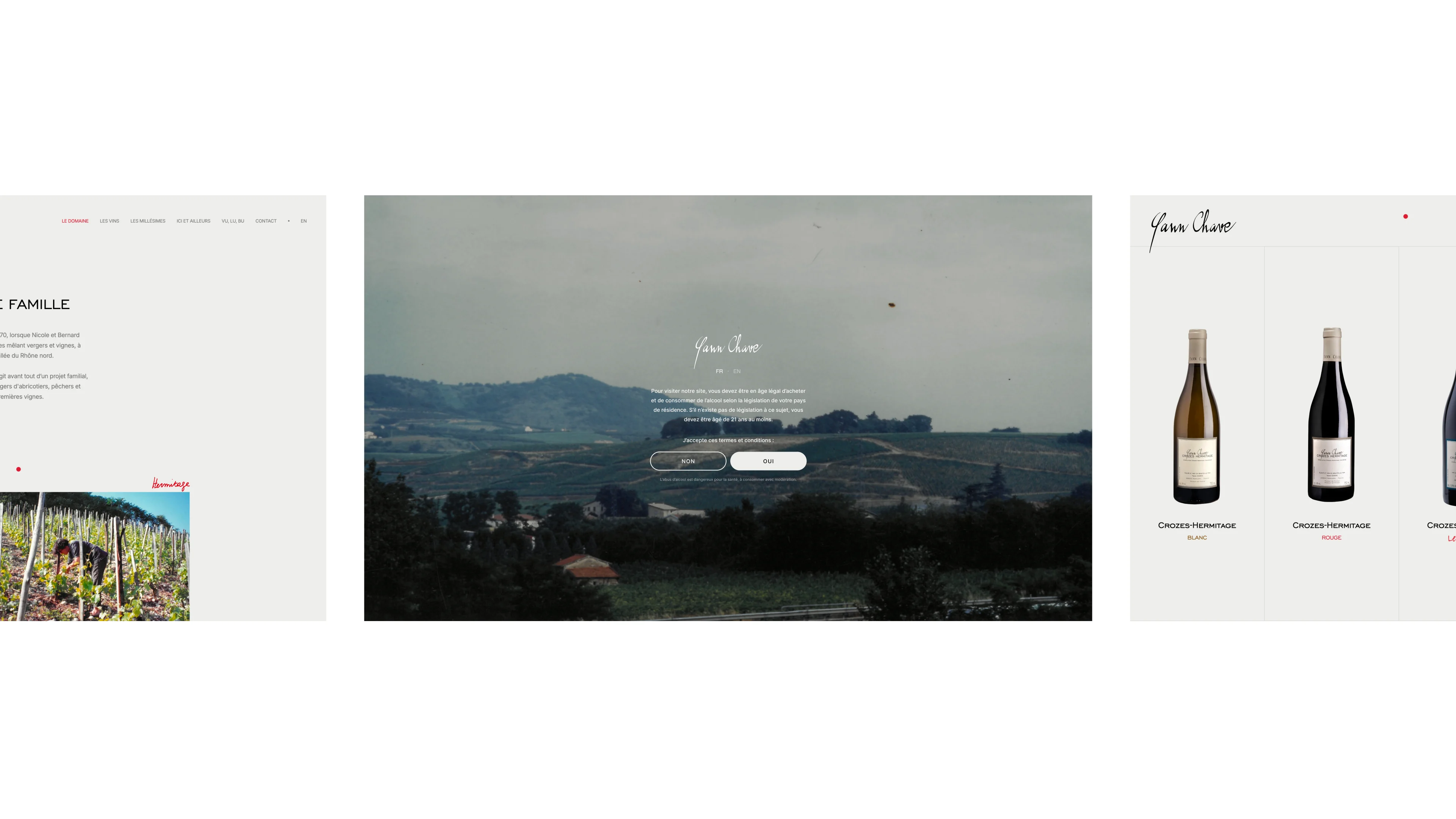 Website age verification screen with vineyard landscape in the background and French text.
