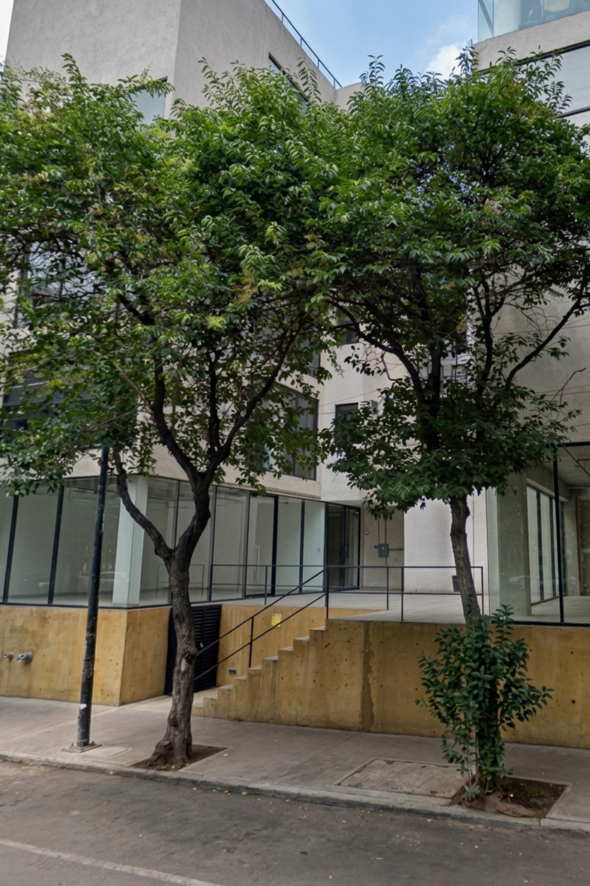 Departamento Pestalozzi interior