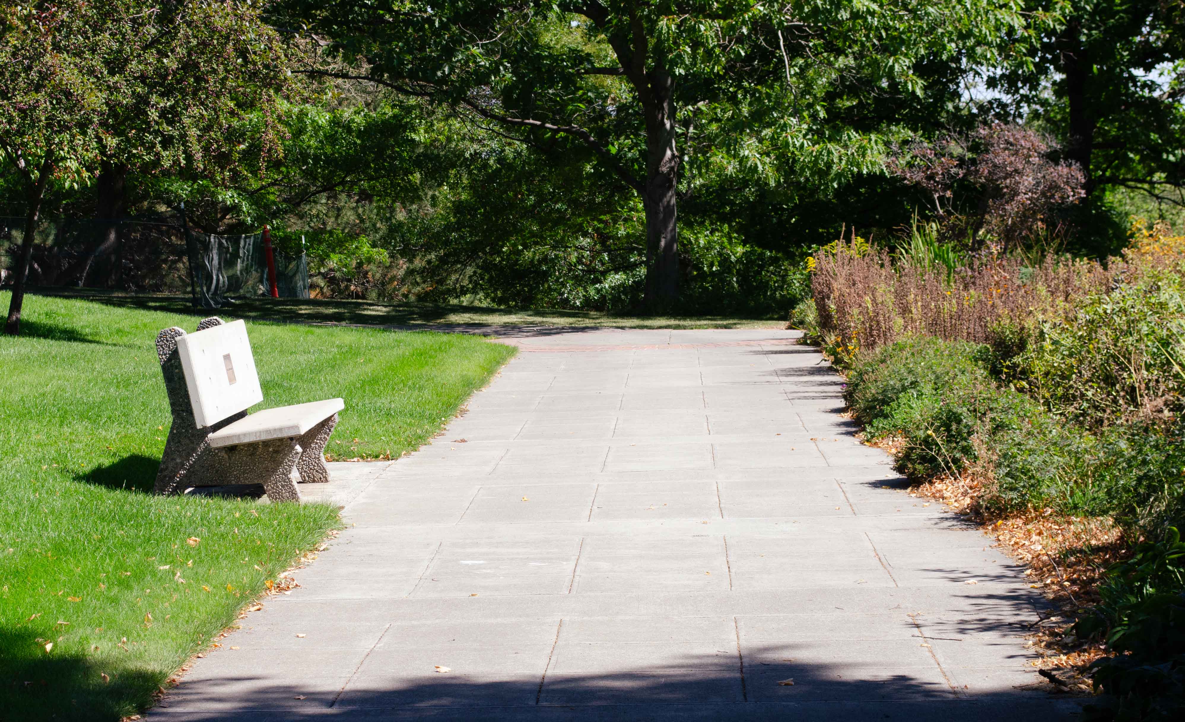 Bench facing sidewalk.