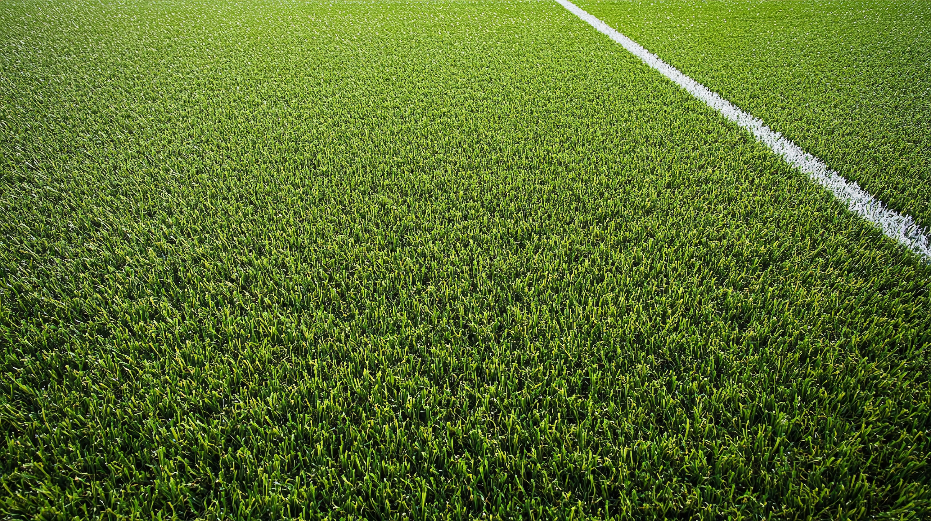 Does Turf or Grass Keep Athletes Safer? A Cross-Sport Deep Dive