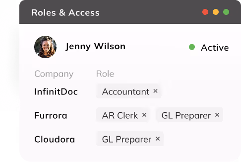 Role-based access controls and audit logs in Eleven accounting software for accounting firms, showing multi-company user permissions for staff and clients.