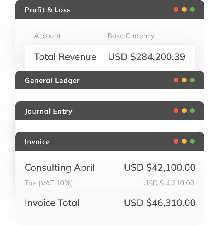 Role-based access controls and audit logs in Eleven accounting software for accounting firms, showing multi-company user permissions for staff and clients.