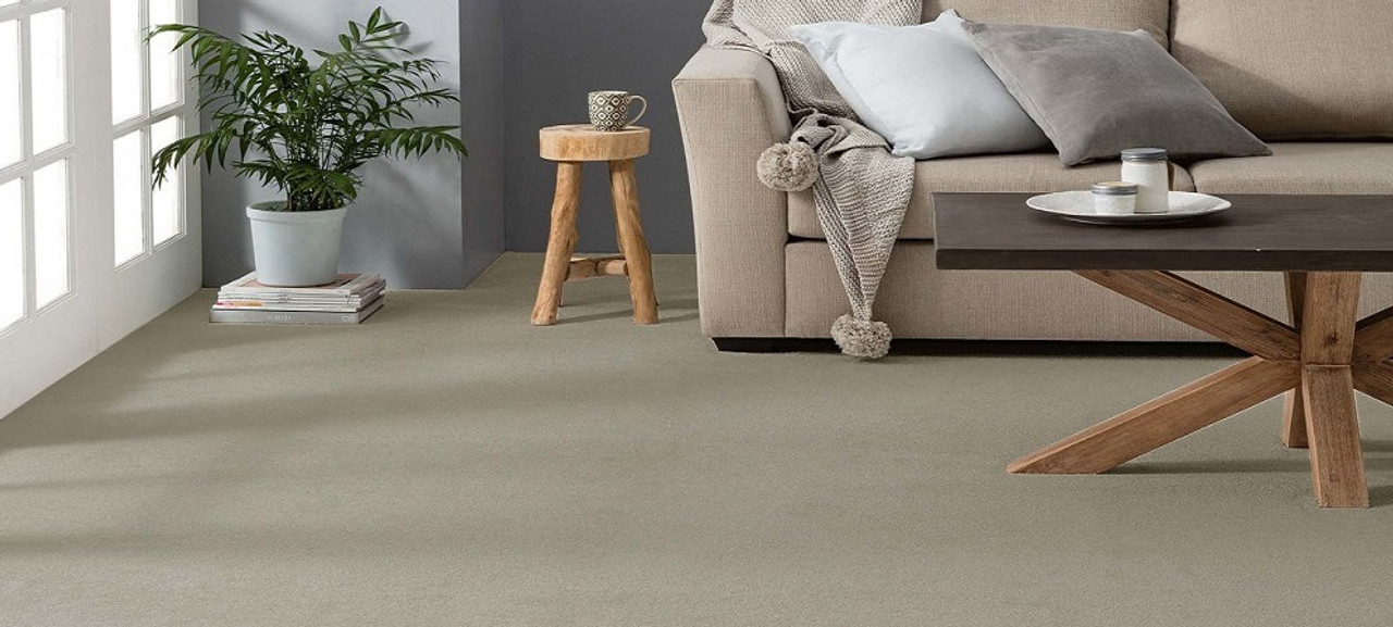 Worn wall-to-wall carpet at the stage where Seattle-area homeowners weigh replacement
