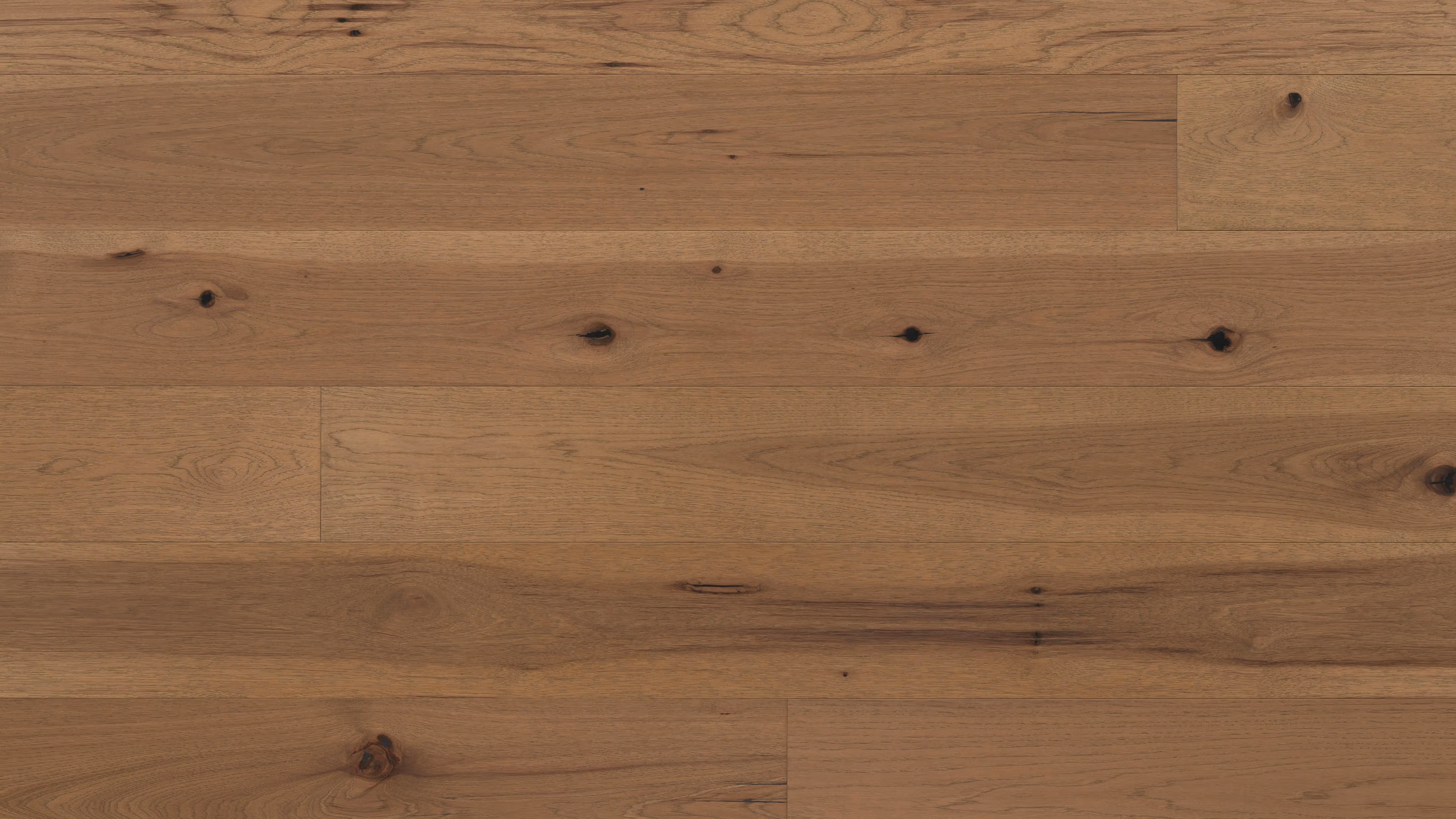 Abode by Kentwood: Tempo Brushed Hickory Neroli