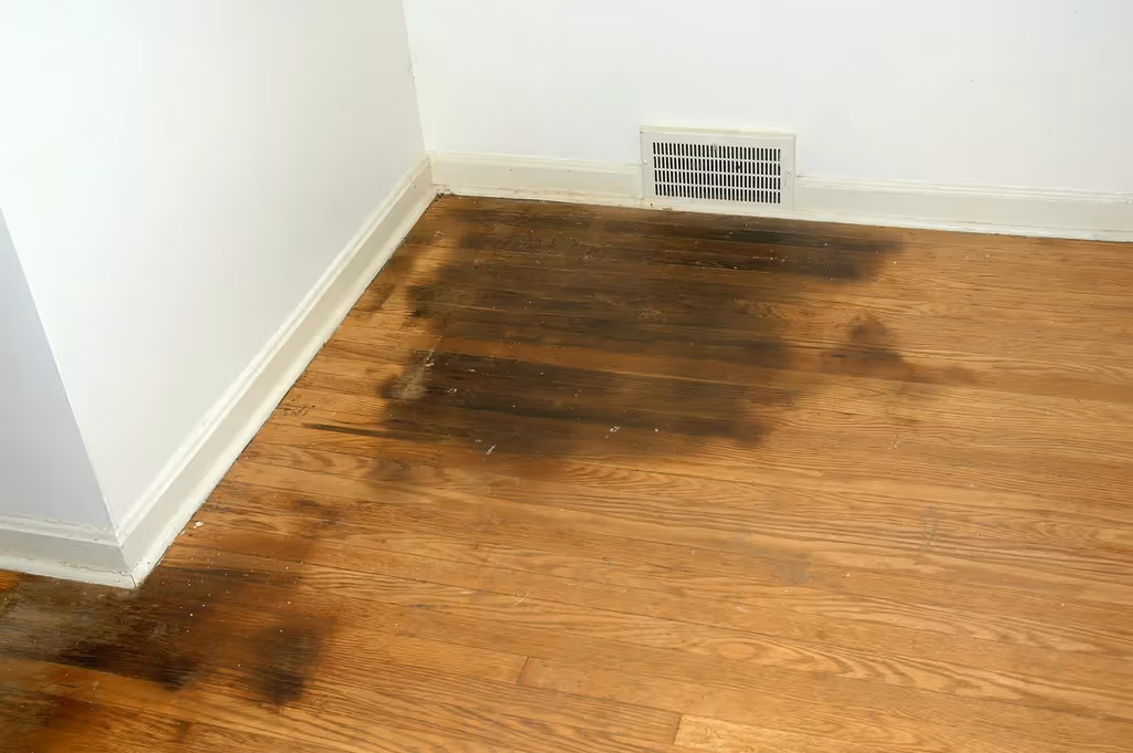 Urine Stains repair in Seattle, wa