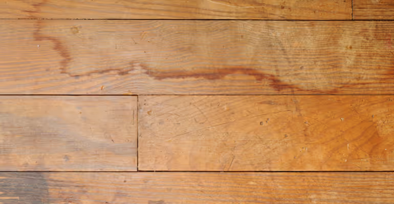 Urine Stains repair near me in seattle, wa